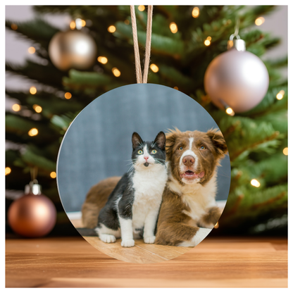 Ceramic Ornament
