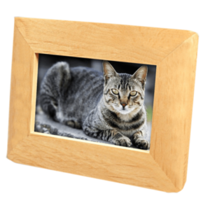 Picture Frame: 4x6