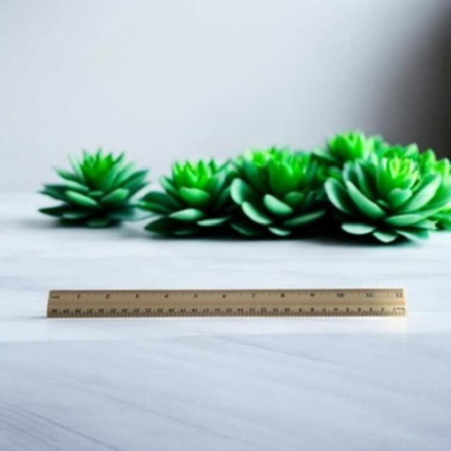 Wooden Ruler